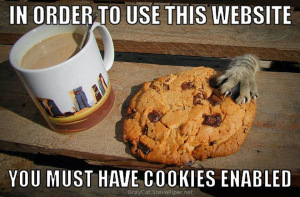 cookies-enabled.meme.stevepiper.net