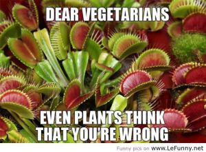 Dear-Vegetarians
