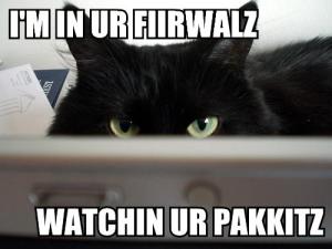 im-in-ur-fiirwalz-watchin-ur-pakkitz